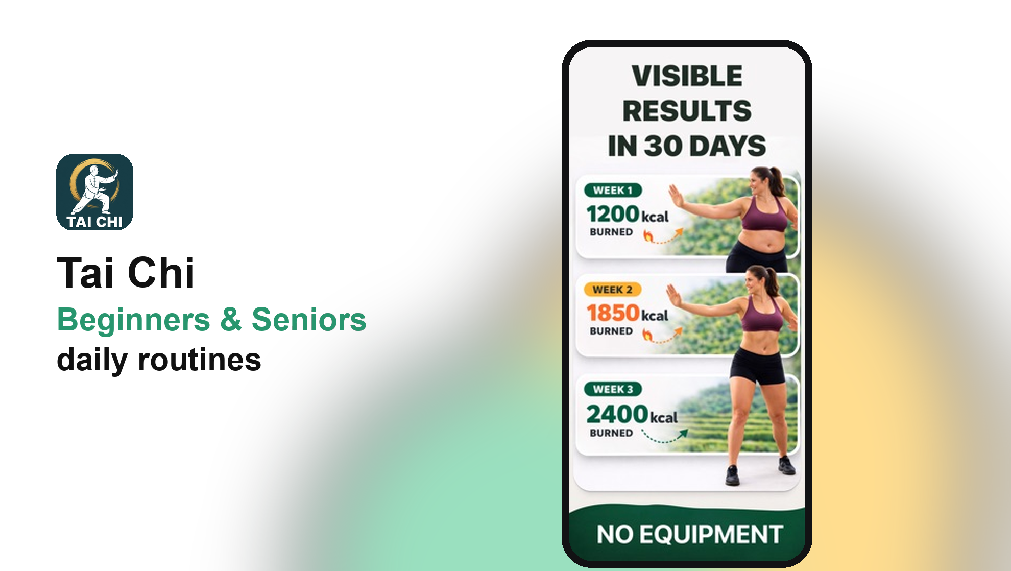 Tai Chi Beginners & Seniors